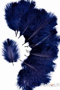 Autruche Bellies - 8-13 cm - bleu nuit-noir